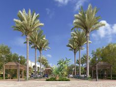 دمياط الجديدة